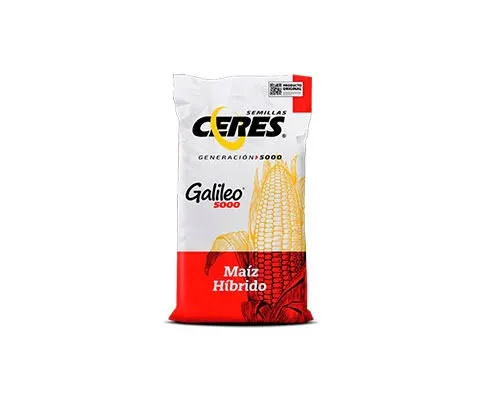 [887] MAIZ GALILEO (BLANCO)