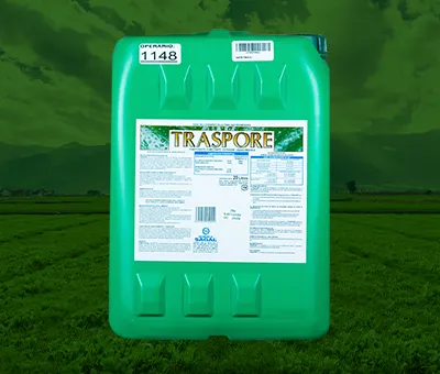 [TRASPORE-1L] TRASPORE 1 LT (ADEHERENTE)