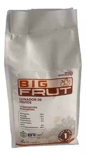 BIG FRUT 100 G