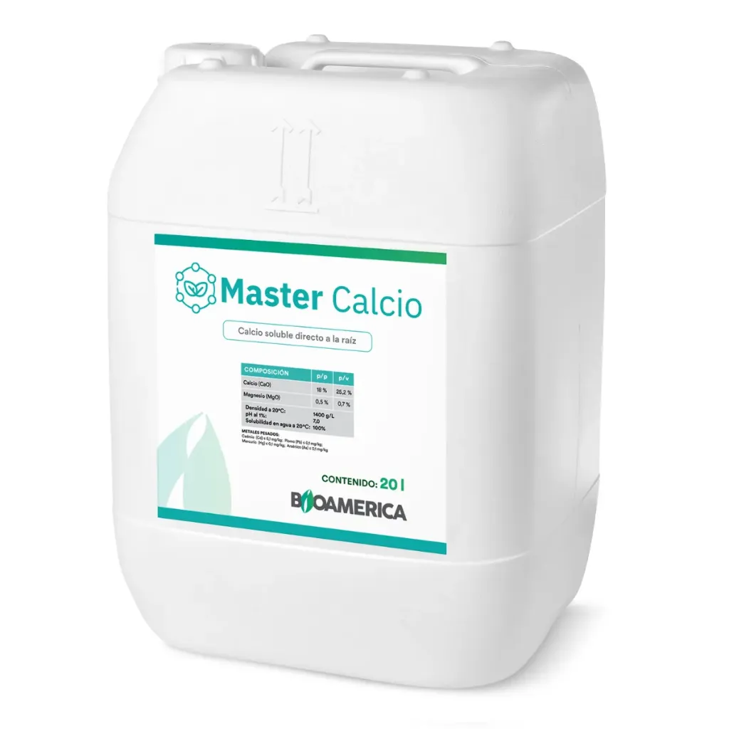 MASTER CALCIO 10L