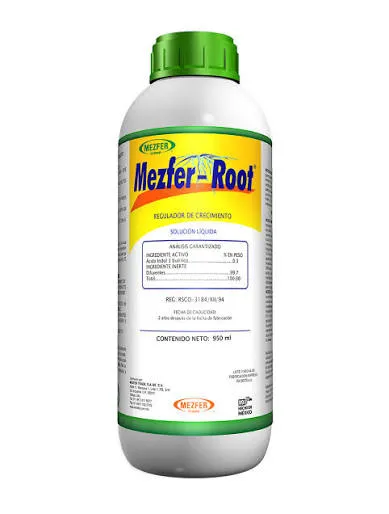 [812] MEZFER-ROOT 1LT