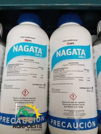 NAGATA 1LT