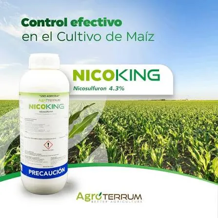 NICOKING