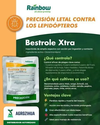 BESTROLE XTRA (50 G)