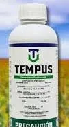 TEMPUS 1L